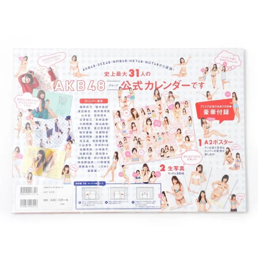 AKB Group Official Calendar 2016