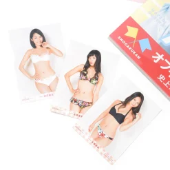 AKB Group Official Calendar 2016