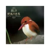 Beutiful Wild Bird World 2018 Calendar