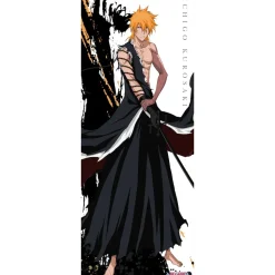 Bleach My Sword My Soul Life-Size Fabric Poster Collection