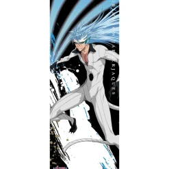 Bleach My Sword My Soul Life-Size Fabric Poster Collection