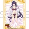Character Sleeve Collection Matte Series High School DxD Hero MT1872 Akeno Himejima