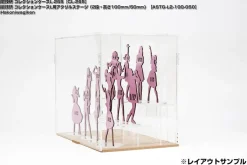 Collection Case L Acrylic Stage (2 Step Height 100mm/50mm)