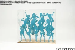 Collection Case X Acrylic Stage (2 Step Height 100mm/50mm)