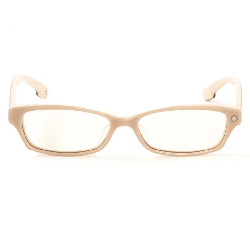Danboard Computer Glasses