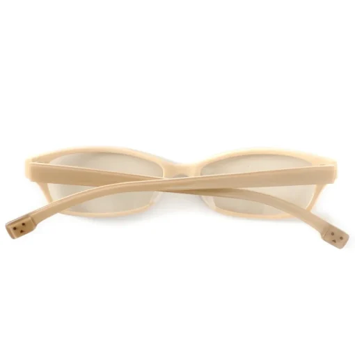 Danboard Computer Glasses