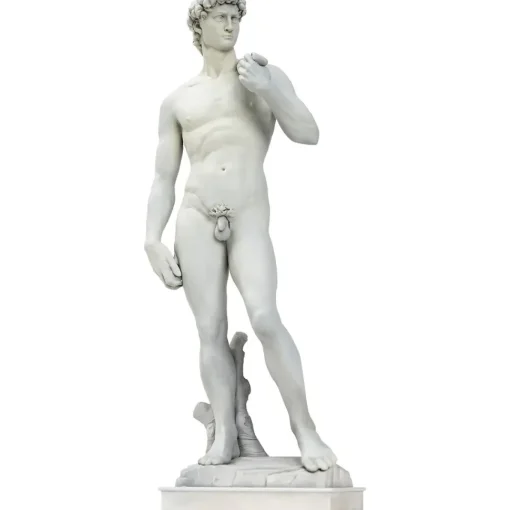 David 1/35 Scale Plastic Model