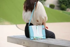 DBC x Hatsune Miku Car Registration Case Ver.2