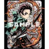 Demon Slayer: Kimetsu no Yaiba Limited Edition Blu-ray Vol. 2