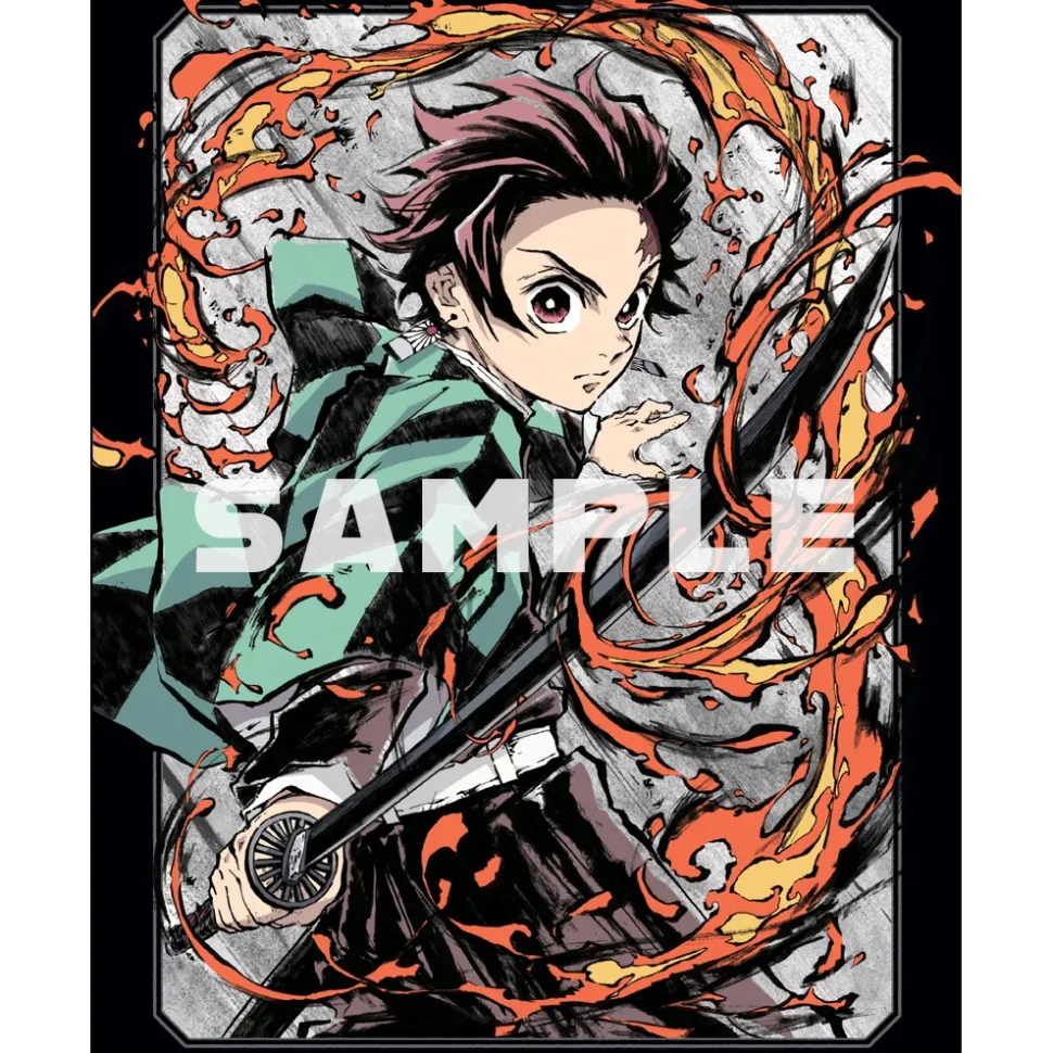 Demon Slayer: Kimetsu no Yaiba Limited Edition Blu-ray Vol. 2