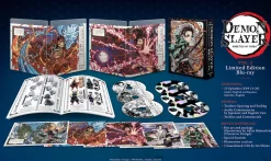 Demon Slayer: Kimetsu no Yaiba Limited Edition Blu-ray Vol. 2