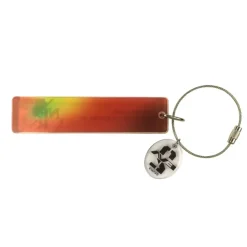 Evangelion Store Original Acrylic Keychain Collection