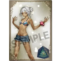 Fate/Extella A3 Clear Poster Collection