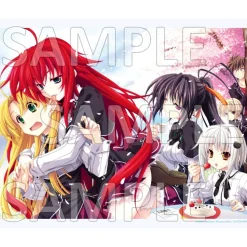 High School DxD Canvas Art Hanami Ver.