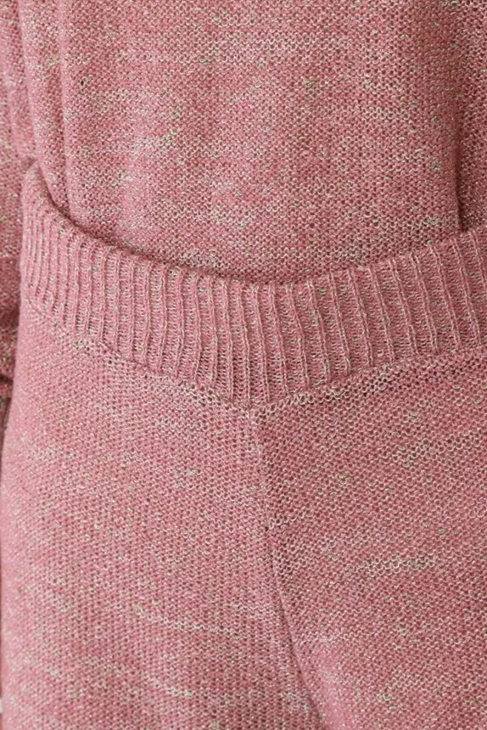 Honey Salon Lamé Knit Shorts