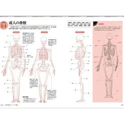 How to Draw Common Scenery