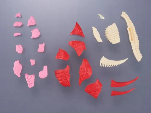 Kaitai Puzzle Fantasy Gomora w/ Bonus Parts