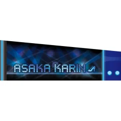 Love Live! Nijigasaki High School Idol Club 3rd Live! School Idol Festival ~Beginning of Our Dream~ Karin Asaka Arm Covers