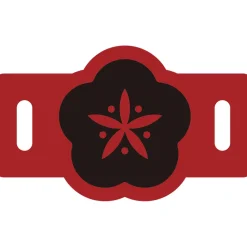 Love Live! Sunshine!! AZALEA 1st Love Live! 〜In The Dark /*Secret Story*/〜 Shoelace Charm Set