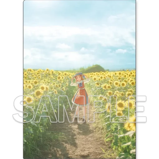 Love Live! Sunshine!! Clear File Folder Aqours