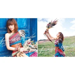 Mai Fuchigami Mini Album