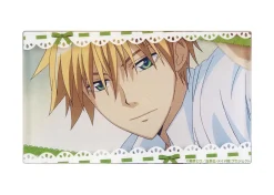 Maid-Sama! Scene Fridge Magnets Box Set