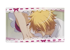 Maid-Sama! Scene Fridge Magnets Box Set
