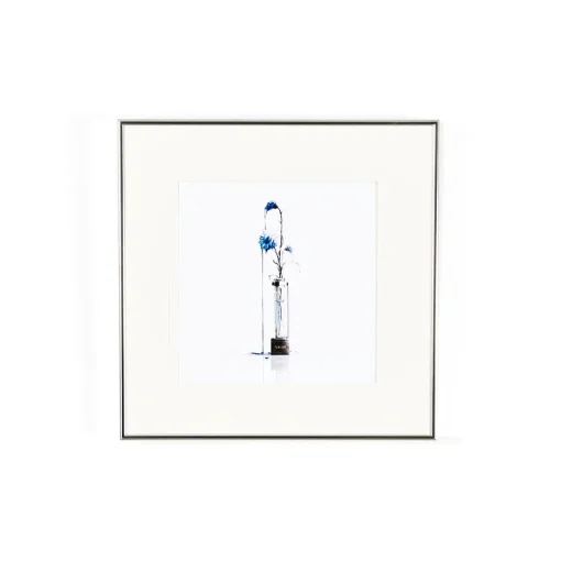 memorabilia Reproduction Art Print