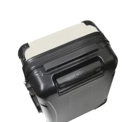 Nameko Saibai Kit Art Suitcase Nameko Comic