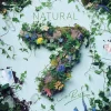 NATURAL7 | CooRie 7th Album