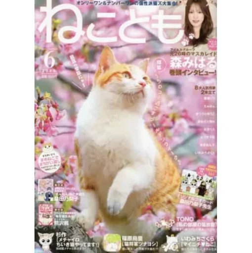 Neko Tomo June 2023