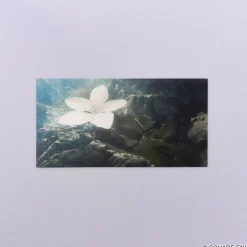 NieR Series Large Postcard Set