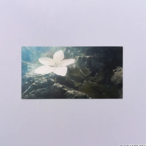 NieR Series Large Postcard Set