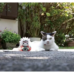 Nyanto! The Big Nyaruto Series Jiraiya