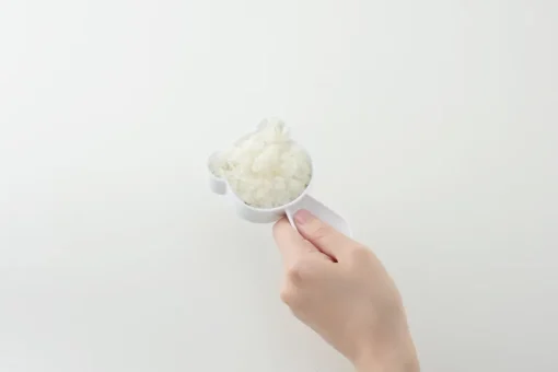 Omusubi Panda Rice Ball Set