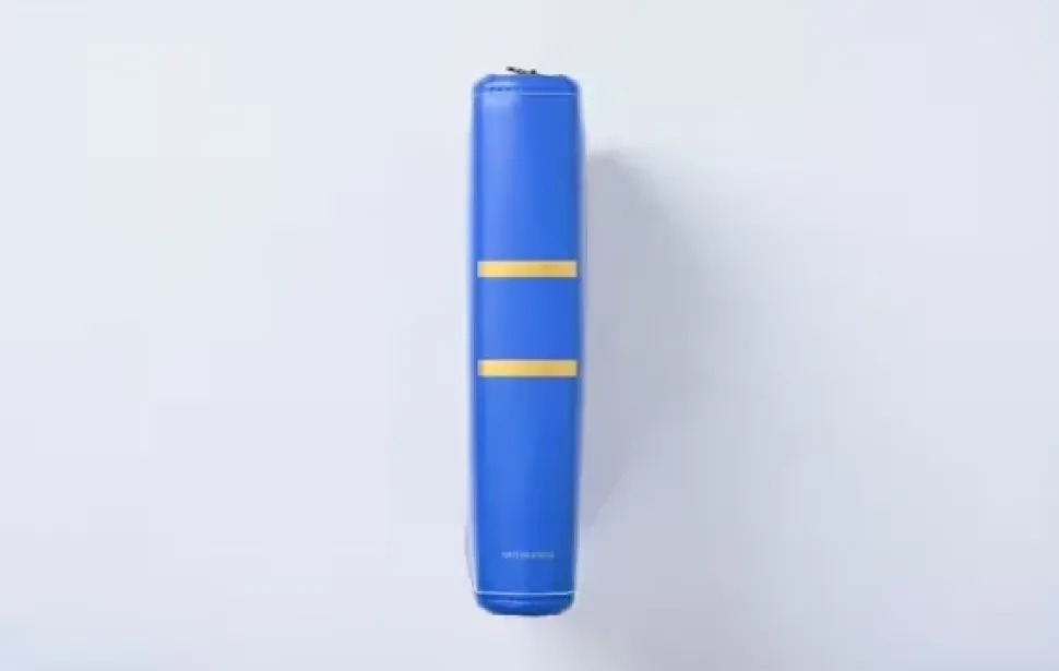 Persona 5 Tactica Lavenza's Persona Complete Book-style Pouch Book