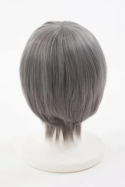 Persona 4 Yu Narukami Wig (Anime Ver.)