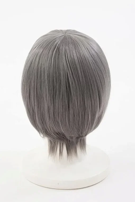 Persona 4 Yu Narukami Wig (Anime Ver.)