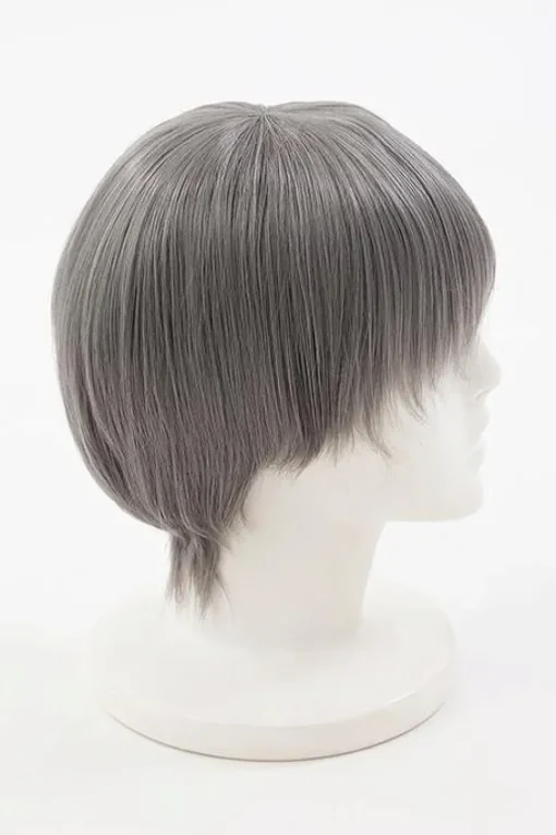 Persona 4 Yu Narukami Wig (Anime Ver.)