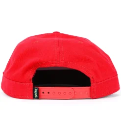 Pokémon Ash Snapback