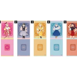 Puella Magi Madoka Magica Clear File