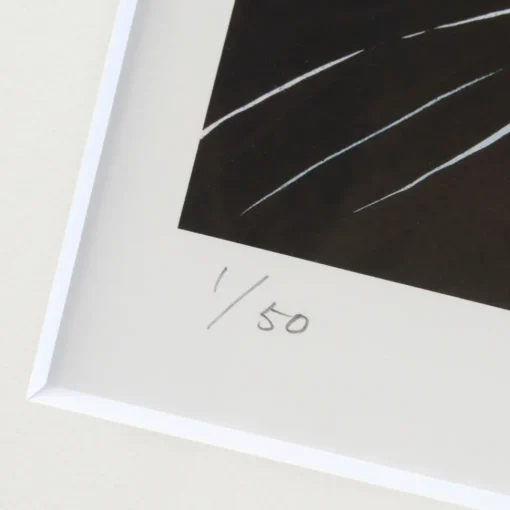 Ranmaru Fine Art Print by Kazuma Kodaka