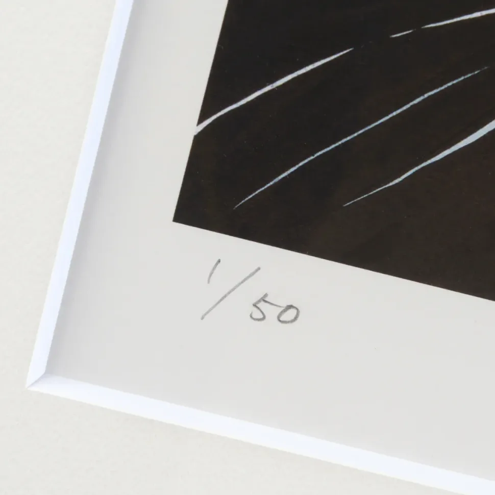 Ranmaru Fine Art Print by Kazuma Kodaka