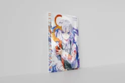 Re/arise Limited Distribution Novel DEVIL+CALIBUR (Author: Ao Jyumonji, Illustrator: BUNBUN