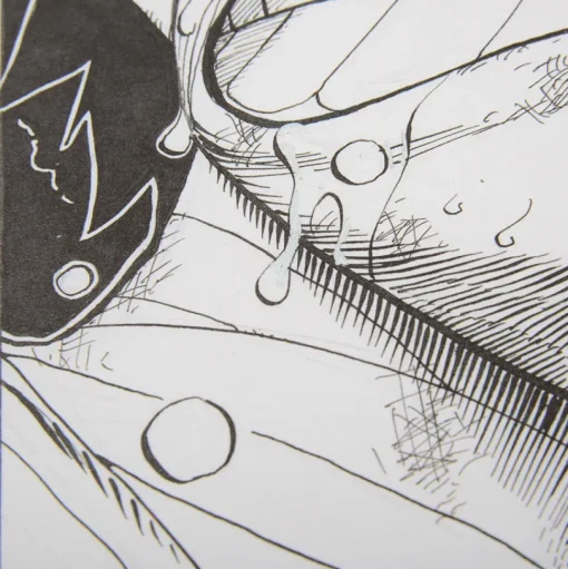 Shonen Jump Reproduction Panel Print: One Piece - A