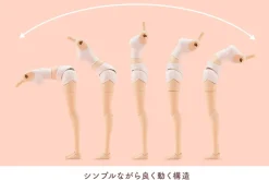 Sousai Shojo Teien Dress Up Body [L]