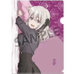 Spy Classroom Clear File Set Collection
