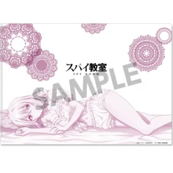 Spy Classroom Clear File Set Collection