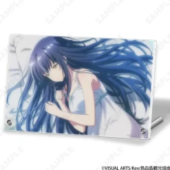 Summer Pockets Acrylic Panel Vol. 1 Kamome Kushima