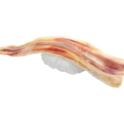 Sushi Plastic Model: Anago